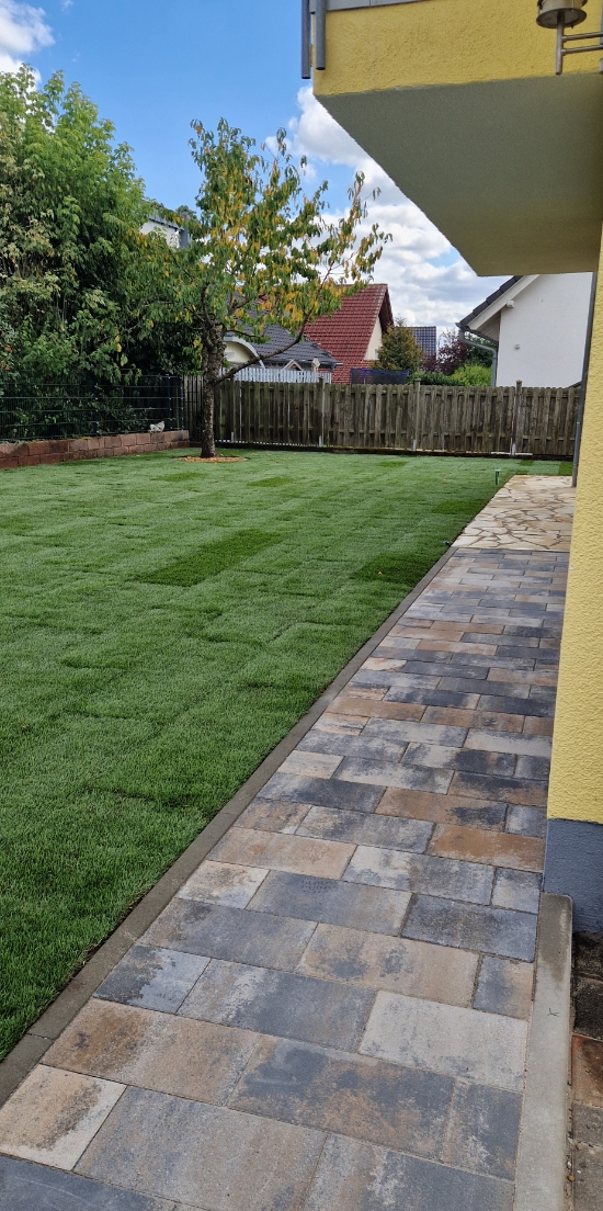 Gepflasterter Gartenweg entlang eines gelben Hauses mit frisch verlegtem Rasen und Baum, umgeben von Zaun und Nachbarhäusern.