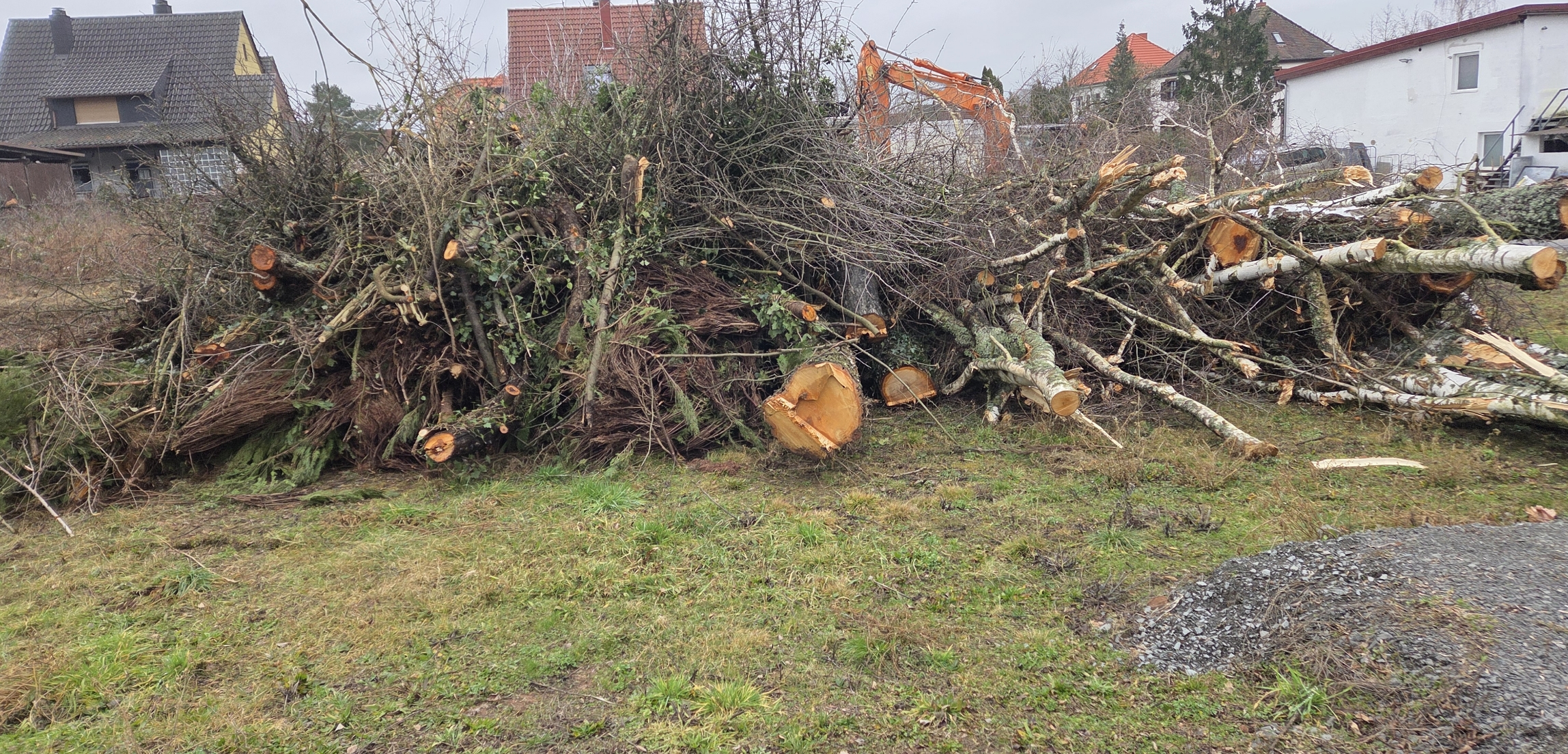 Gesperrte Baumstämme und Äste liegen auf einer Wiese vor Wohnhäusern bei bewölktem Himmel.